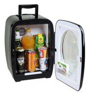 SMAD Thermoelectric Cooler 110V/12V Car Cooler &amp; Warmer,Black-15LCapacity N4