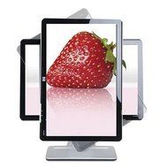 HP W2207 22-inch Widescreen Flat Panel LCD Monitor N6