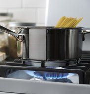 GE JGBS66DEKWW 30" Gas Freestanding Range with 5 Burners, Sealed Burner, 5.0 Cu. Ft. Primary Oven Capacity, Griddle... N2