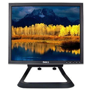 17" Dell 1707FPt DVI LCD Monitor w/USB Hub (Black) N2