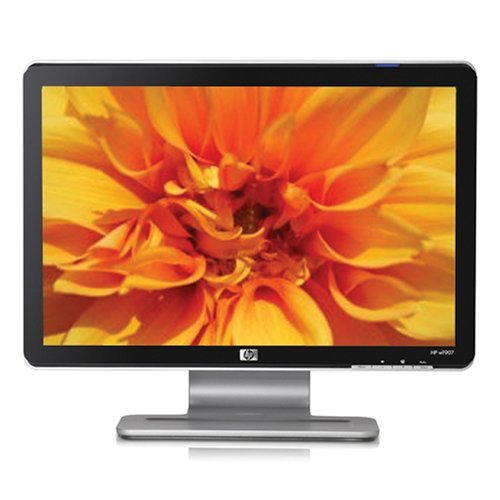 HP W1907 19-inch Widescreen Flat Panel LCD Monitor N3