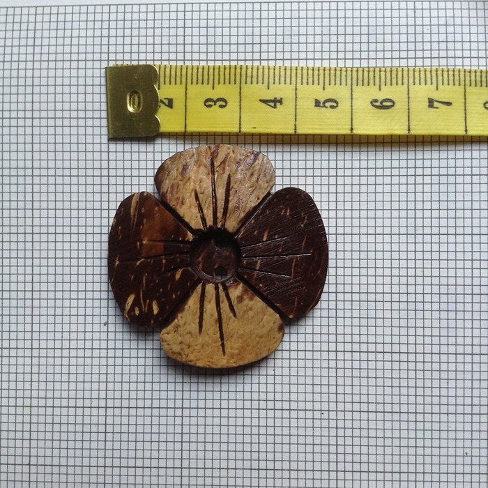 Coconut shell buttons 'Wood of Beauty' N3