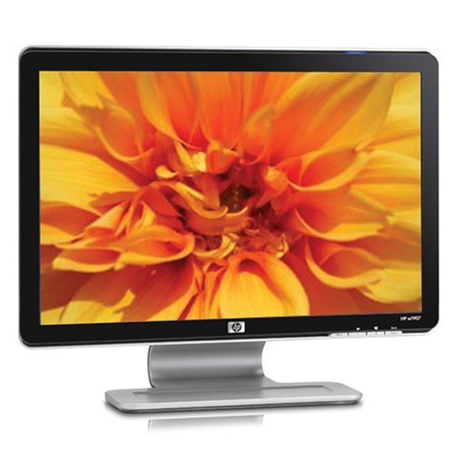 HP W1907 19-inch Widescreen Flat Panel LCD Monitor N4