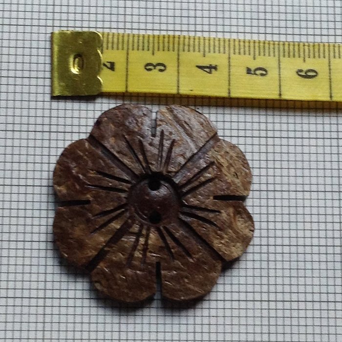 Coconut shell buttons 'Wood of Beauty' N4