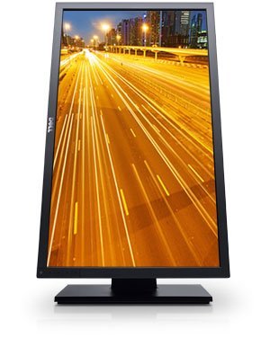 Dell Professional P2411H 24-inch Widescreen Flat Panel Monitor with LED N6