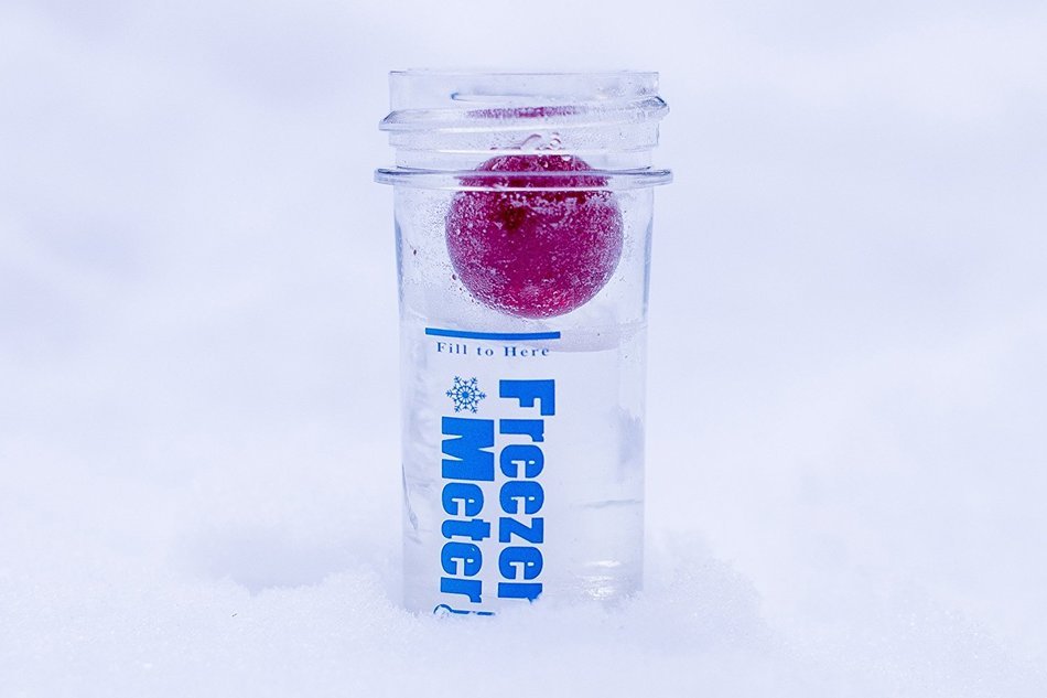 Freezer Meter: Frozen Food Safety in Seconds