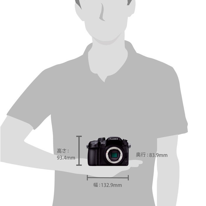 Panasonic mirror-less SLR LUMIX GH4 body Black DMC-GH4-K [International Version, No Warranty] N2