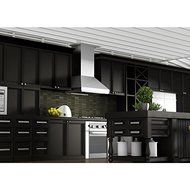 ZLINE 42 in. 1200 CFM Wall Mount Range Hood in Stainless Steel N4