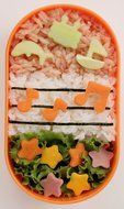 TORUNE Japanese Bento Deco Ham Cheese Cutter Set, 10 Shapes N2