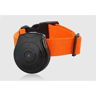 Pet Digital Video Camera &amp; Recorder N2