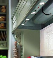 Vent-A-Hood BH246PSLD SS 47" Wall Mounted Liner Inserts with 600 CFM 6.5 Sones Sound Level Magic Lung Blower and...