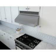 Zephyr AK7036BS Pro-Style Under-Cabinet Canopy Hood, Stainless Steel N3