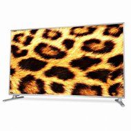 WASABI MANGO UHD490 49-Inch UHD 4K Monitor N4