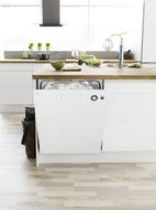 XXL Tank 6 Programs Dishwasher Finish: White N4