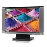 Compaq WF1907 19&quot; LCD Monitor N5