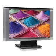 Compaq WF1907 19&quot; LCD Monitor N6