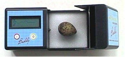 Digital Egg Monitor Buddy N3