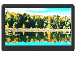 GeChic 1503H 15.6&quot; IPS 1080p Portable Monitor with HDMI, VGA input, USB powered, ultralight... N5