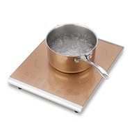 15" Induction Cooktop with 1 Burner Finish: Caramel N3