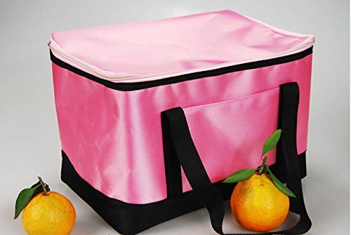 Cooler Bag Square Chilled Paul 25*16*19Cm Purple N4