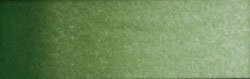 Old Holland : Watercolour Half Pan Chromium Oxide Green