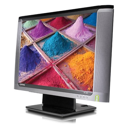 Compaq WF1907 19" LCD Monitor N2
