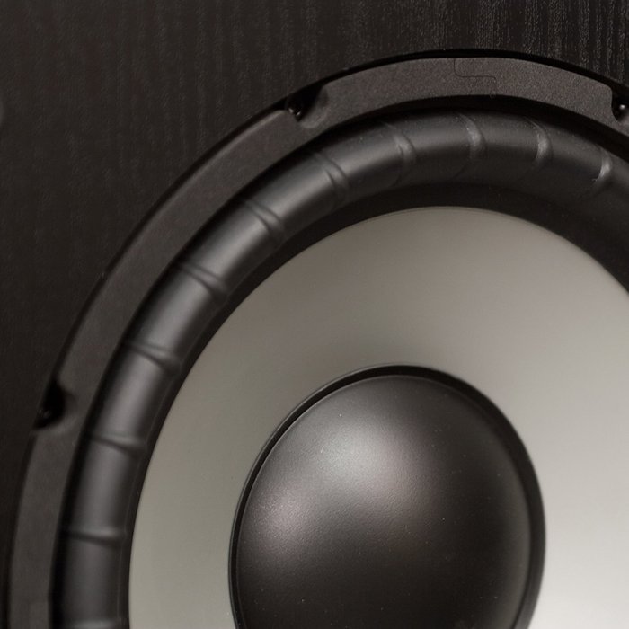 Energy ESW-C10 10-Inch 400 Watt Subwoofer (Black) N4