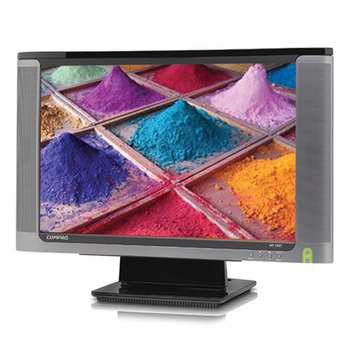 Compaq WF1907 19" LCD Monitor N5