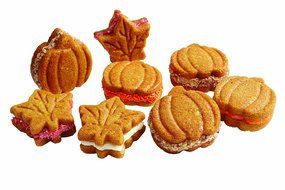 Wilton 2105-0693 12-Cavity Nonstick Square Treat Cake Pan N21