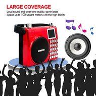 NEWGOOD Wireless Remote Control Outdoor Portable Bass Player Speaker With Digital Numbers Buttons And Voice Recorder... N6