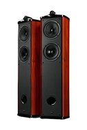 Swans Diva 6.3 F Home Theatre Main Channel, Brown (Pair)