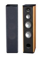 Premier Acoustic PA-6F Titanium