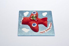 25 x 24 x 4.5cm Sweetly Does It Aeroplane Shaped Cake Pan N2