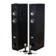 Acoustic Audio TSi400 Bluetooth Powered Floorstanding Tower Multimedia Speakers with Mics TSi400M2 N2