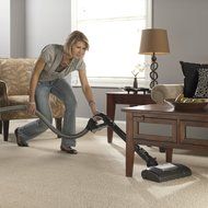 Electrolux Jetmaxx Green Canister Vacuum, EL4040A N3