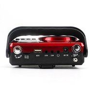 NEWGOOD Wireless Remote Control Outdoor Portable Bass Player Speaker With Digital Numbers Buttons And Voice Recorder... N11