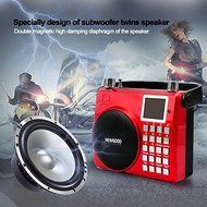 NEWGOOD Wireless Remote Control Outdoor Portable Bass Player Speaker With Digital Numbers Buttons And Voice Recorder... N12