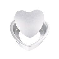 FEESHOW Non-Stick Heart Shaped Cake Pan Baking Mold with Removable Bottom (1, 6 Inch) N4