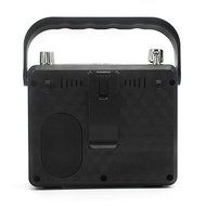 NEWGOOD Wireless Remote Control Outdoor Portable Bass Player Speaker With Digital Numbers Buttons And Voice Recorder... N16