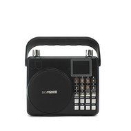 NEWGOOD Wireless Remote Control Outdoor Portable Bass Player Speaker With Digital Numbers Buttons And Voice Recorder... N17