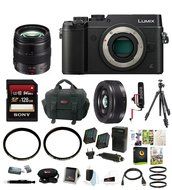 Panasonic Lumix DMC-GX8 Mirrorless Micro Four Thirds Digital Camera (Body Only, Black) w/ H-HS12035 Vario 12-35mm...