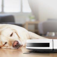 ECOVACS Robotic Vacuum for Carpets and Floors, DM82 (Certified Refurbished) N9