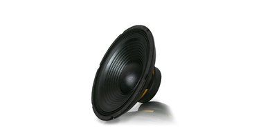 Technical Pro WF12.1 Raw 12" Subwoofer Driver, 800 Watts Peak Power