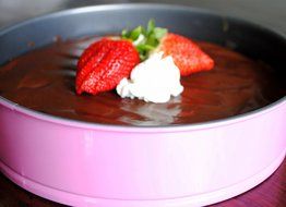 Springform Pan 10 Inch for Baking Cake and Cheesecake from Elsterware Quick-Clean Tin, Easy Release Spring Clip... N6