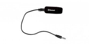 Technical Pro BLUEMINI Handheld Bluetooth Audio Receiver Black