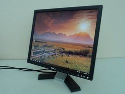 19&quot; Dell E196FPb LCD Monitor (Black) N6
