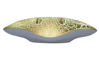 Blueone Outdoor Wireless Bluetooth Stingray Speaker With LED Lights Support TF Card for Cell Phones - Golden N7