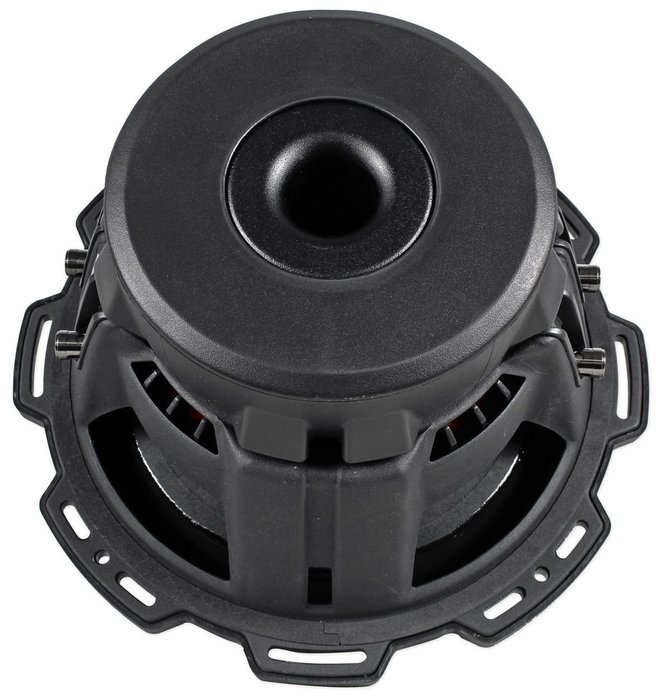 Rockford Fosgate Punch P2D2-10 10" Inch 600 Watt Dual 2 Ohm Car Subwoofer Sub N5