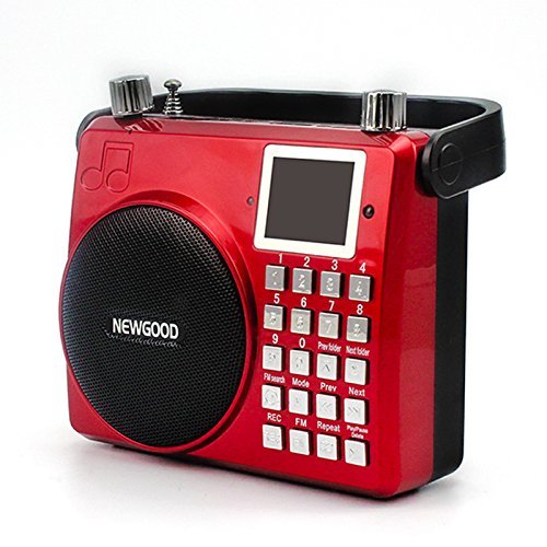 NEWGOOD Wireless Remote Control Outdoor Portable Bass Player Speaker With Digital Numbers Buttons And Voice Recorder... N5