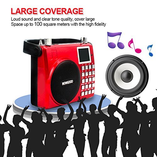 NEWGOOD Wireless Remote Control Outdoor Portable Bass Player Speaker With Digital Numbers Buttons And Voice Recorder... N6
